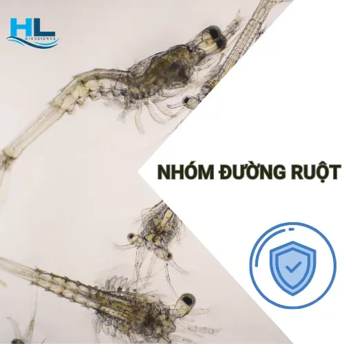 Sản phẩm nhom duong ruot 1702613946 — Công Ty TNHH Aqua Hiếu Lộc — MST 0316017578