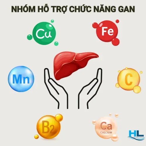 Sản phẩm nhom ho tro chuc nang gan 1702613929 — Công Ty TNHH Aqua Hiếu Lộc — MST 0316017578