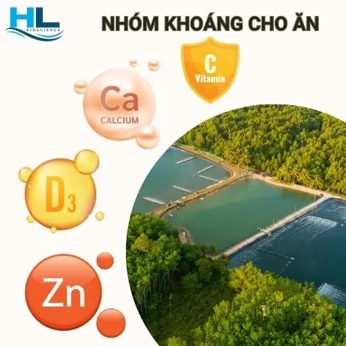 Sản phẩm nhom khoang cho an 1703764784 — Công Ty TNHH Aqua Hiếu Lộc — MST 0316017578
