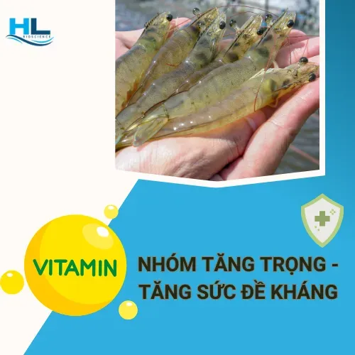 Sản phẩm nhom tang trong tang suc de khang 1702613848 — Công Ty TNHH Aqua Hiếu Lộc — MST 0316017578