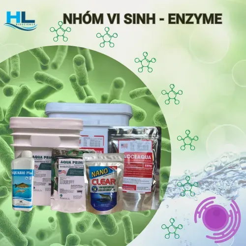 Sản phẩm nhom vi sinh enzyme 1702613801 — Công Ty TNHH Aqua Hiếu Lộc — MST 0316017578
