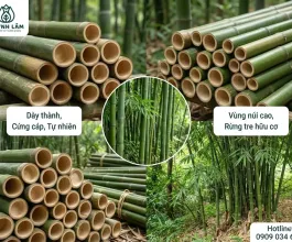 Sản phẩm cac loai tre nua luong lam ong hut 1765181352 — Công Ty TNHH Sản Xuất Sản Phẩm Thiên Nhiên Huỳnh Lâm — MST 0316024159
