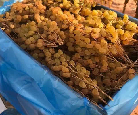 Sản phẩm news_s37 — Công Ty TNHH Sunraysia — MST 0316026452