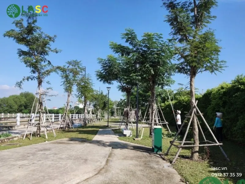 Sản phẩm bao duong canh quan 5 — Công Ty TNHH Đầu Tư Xây Dựng Phan Hoàng Gia — MST 0316063091