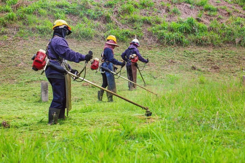 Sản phẩm quy trinh cat co 2 — Công Ty TNHH Đầu Tư Xây Dựng Phan Hoàng Gia — MST 0316063091