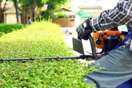 Sản phẩm cat co san vuon — Công Ty TNHH Đầu Tư Xây Dựng Phan Hoàng Gia — MST 0316063091
