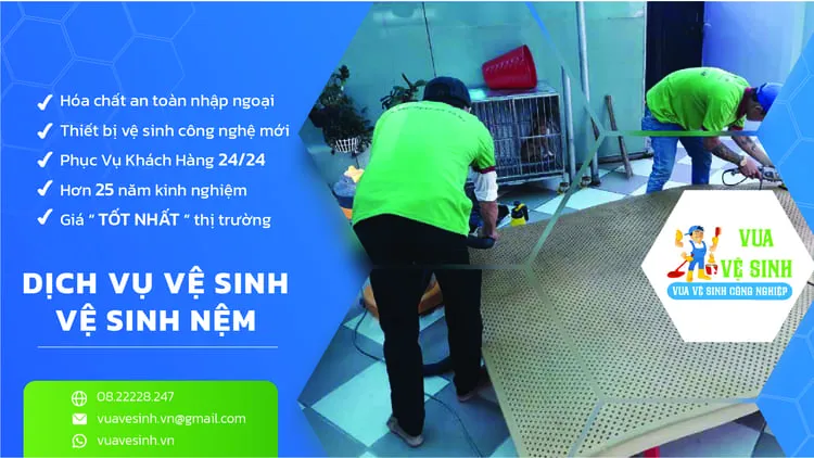 Sản phẩm dich vu giat nem tai nha 6 — Công Ty Cổ Phần Tập Đoàn Vin Care — MST 0316090151