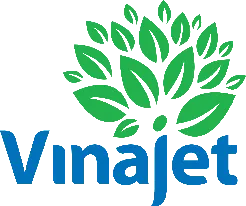 Logo In ấn Vina - Công Ty TNHH Thiết Kế In ấn Vina