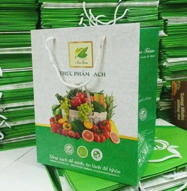 Sản phẩm in tui giay so luong it — In ấn Vina - Công Ty TNHH Thiết Kế In ấn Vina — MST 0316093628