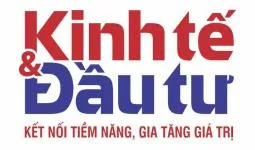 Sản phẩm z1817025452194aa2d0f358e265c48d01281853b6d4f7f 1726018734 — Công Ty TNHH Xuất Nhập Khẩu - Thương Mại Benzol Việt Nam — MST 0316095600