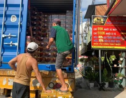 Sản phẩm z5806776873069b4a483f52de3d5e8eae7dd7b4ce6d78a 1725706562 — Công Ty TNHH Xuất Nhập Khẩu - Thương Mại Benzol Việt Nam — MST 0316095600