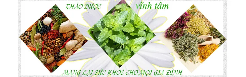 Sản phẩm 204953 — Công Ty Cổ Phần Thương Mại Xuất Nhập Khẩu Vĩnh Tâm — MST 0316098383