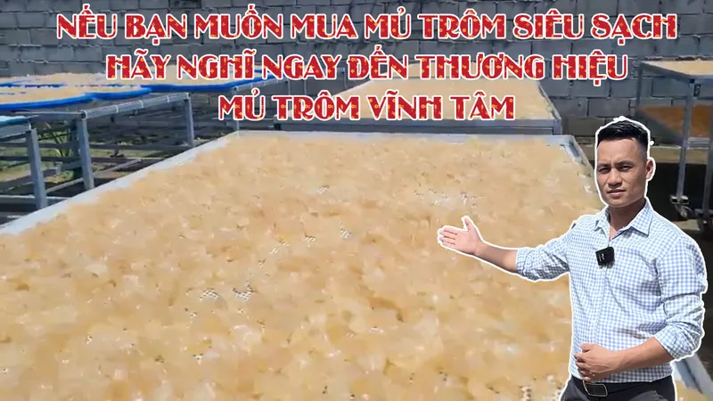 Sản phẩm 195247 — Công Ty Cổ Phần Thương Mại Xuất Nhập Khẩu Vĩnh Tâm — MST 0316098383