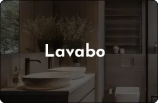 Sản phẩm Lavabo — Công Ty TNHH Xây Dựng Và Thương Mại Long Thuận Phát — MST 0316101685