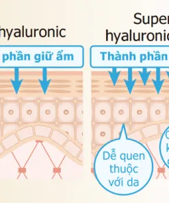 Sản phẩm hyaluronic_acid 247x296 — Công Ty TNHH LACOSME — MST 0316115712