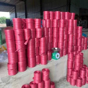 Sản phẩm Day Nilon thuong ma 01 300x300 — Dây NiLon Thành Phát - Công Ty TNHH Sản Xuất Thương Mại Nhựa Thành Phát — MST 0316127972