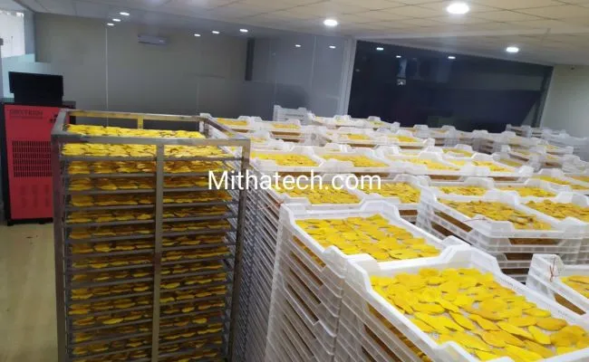 Sản phẩm saytraicay 46446140 — Công Ty TNHH Kỹ Thuật Minh Thanh — MST 0316128743