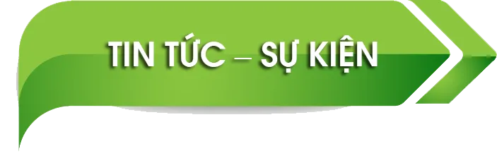 Sản phẩm 113 — Giày Quốc Định - Công Ty TNHH Sản Xuất Giày Dép Quốc Định — MST 0316129289