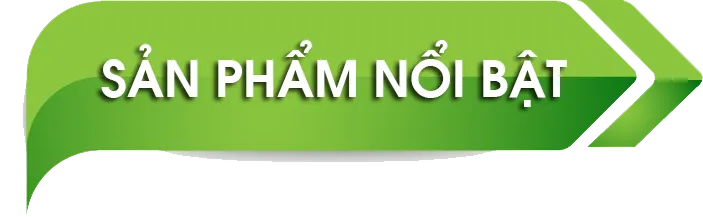 Sản phẩm gdg — Giày Quốc Định - Công Ty TNHH Sản Xuất Giày Dép Quốc Định — MST 0316129289