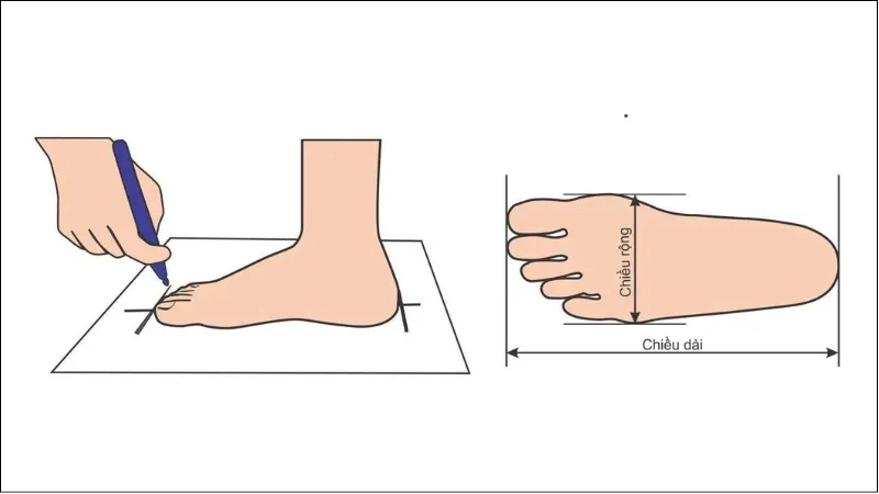 Sản phẩm cac do size giay dep xuonggiaydepqd — Giày Quốc Định - Công Ty TNHH Sản Xuất Giày Dép Quốc Định — MST 0316129289