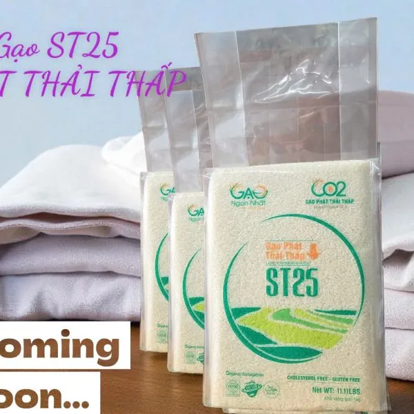 Sản phẩm gao st 25 phat thai thap gnn 1 600x600 — Gạo Ngon Nhất - Công Ty TNHH Gạo Ngon Nhất — MST 0316131009