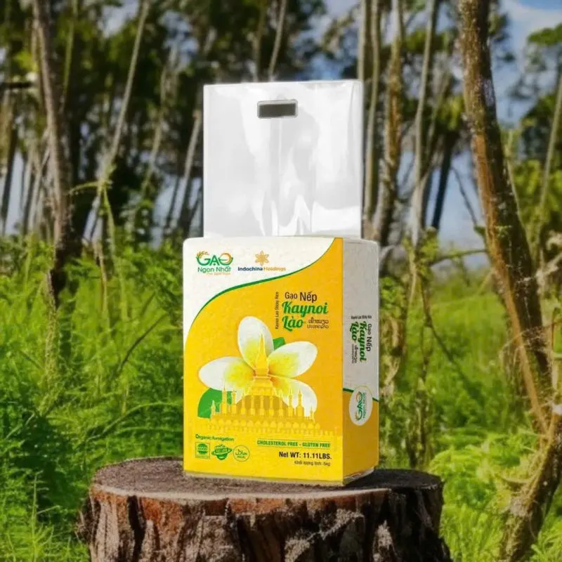 Sản phẩm gao nep lao kaynoi tui 2kg 800x800 — Gạo Ngon Nhất - Công Ty TNHH Gạo Ngon Nhất — MST 0316131009
