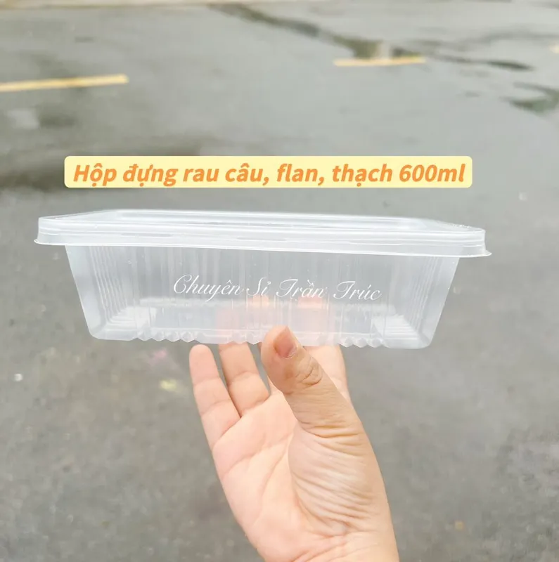 Sản phẩm hop nhua 1028 1018x1024 — Công ty TNHH Chuyên Sỉ Trần Trúc — MST 0316131591