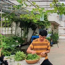 Sản phẩm trong rau san thuong (1) 0305 — Công Ty TNHH Thương Mại Dịch Vụ Trạng Nguyên — MST 0316135645