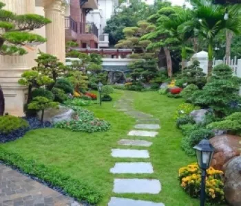 Sản phẩm 1 thi cong cay canh9156_285x230 — Công Ty TNHH Thương Mại Dịch Vụ Trạng Nguyên — MST 0316135645
