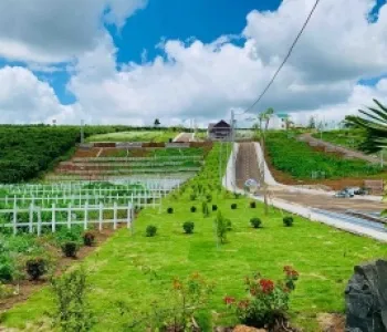 Sản phẩm 1 thiet ke thi cong canh quan nong trai farm2972_285x230 — Công Ty TNHH Thương Mại Dịch Vụ Trạng Nguyên — MST 0316135645