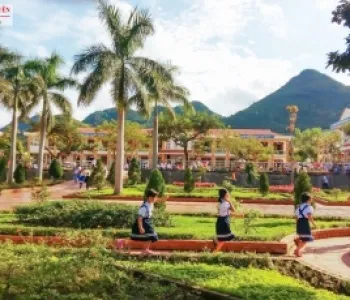 Sản phẩm 1 trong cay xanh trang tri khuon vien truong hoc7306_285x230 — Công Ty TNHH Thương Mại Dịch Vụ Trạng Nguyên — MST 0316135645