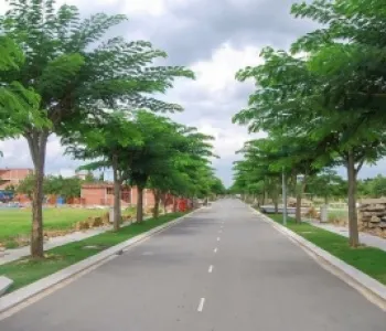 Sản phẩm 2 dat du an trong cay xanh8329_285x230 — Công Ty TNHH Thương Mại Dịch Vụ Trạng Nguyên — MST 0316135645