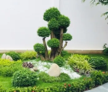 Sản phẩm 3 chi phi thiet ke thi cong san vuon9890_285x230 — Công Ty TNHH Thương Mại Dịch Vụ Trạng Nguyên — MST 0316135645