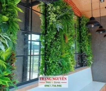 Sản phẩm 3 tuong cay gia5650_285x230 — Công Ty TNHH Thương Mại Dịch Vụ Trạng Nguyên — MST 0316135645