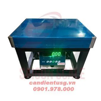 Sản phẩm 0_Can ghe B19S(3) — Cân Điện Tử SG - Công Ty TNHH SX TM DV Cân Điện Tử Sài Gòn — MST 0316151950
