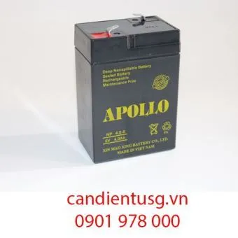 Sản phẩm 32_65_binh acquy can dien tu 6v — Cân Điện Tử SG - Công Ty TNHH SX TM DV Cân Điện Tử Sài Gòn — MST 0316151950