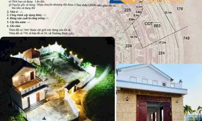 Sản phẩm VUImeo 1 400x240 — Công Ty TNHH Bất Động Sản 2CS — MST 0316152496