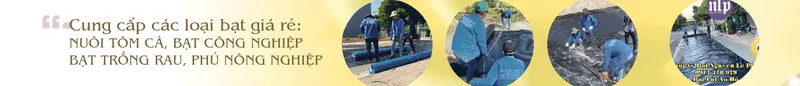 Sản phẩm du che nguyen le phat nha trang3333 — Công Ty TNHH Cơ Khí Xây Dựng Nguyễn Lê Phát — MST 0316165216