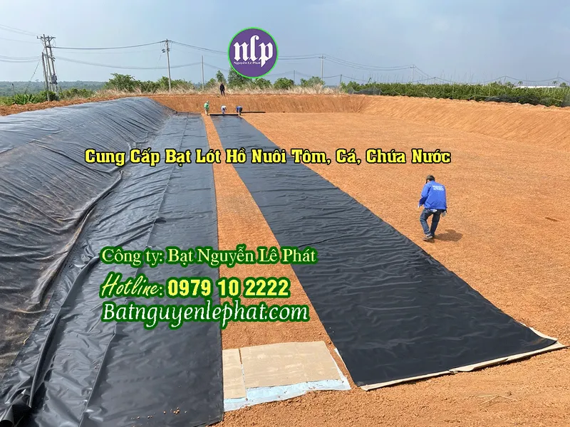 Sản phẩm thi cong bat ho1 — Công Ty TNHH Cơ Khí Xây Dựng Nguyễn Lê Phát — MST 0316165216