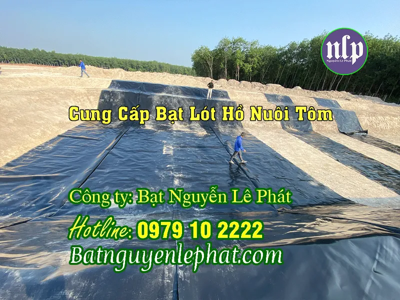 Sản phẩm thi cong bat lot ho — Công Ty TNHH Cơ Khí Xây Dựng Nguyễn Lê Phát — MST 0316165216