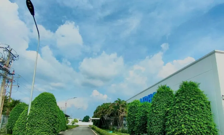 Sản phẩm z5931325003547fdd3fd212a7ad24cb3c7da741a8105d0 9810 — Công Ty TNHH TMDV Cảnh Quan Regreen — MST 0316175990