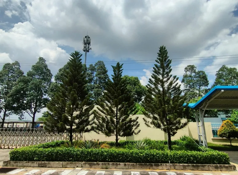 Sản phẩm z5865640260545ec804bcc29d764b214f5e7f7cd4c0112 9758 — Công Ty TNHH TMDV Cảnh Quan Regreen — MST 0316175990