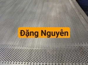 Sản phẩm san xuat luoi thep dot lo tai viet nam 1 1317 — Gia Công Đột Dập Đặng Nguyễn - Công Ty TNHH SX TM Đặng Nguyễn — MST 0316193534