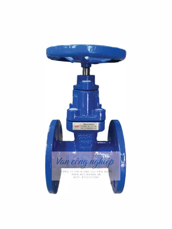 Sản phẩm Van cong gang DN50 2 — Công Ty TNHH Van KST Hàn Quốc — MST 0316193982
