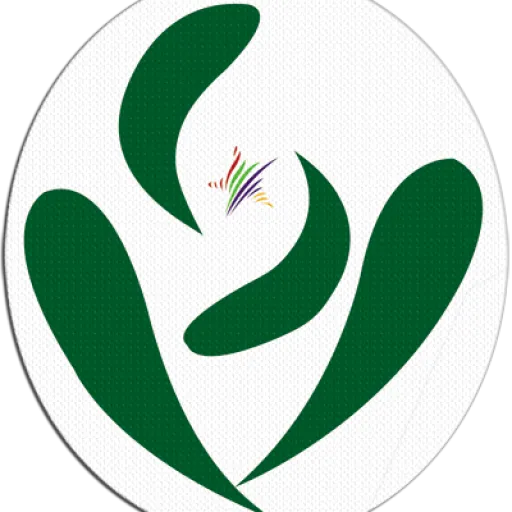 Logo Công Ty TNHH Đầu Tư - Thương Mại - Dịch Vụ Sao Việt Fashion