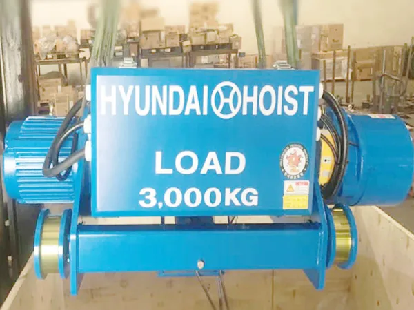 Sản phẩm Palang Huyndai 3000 kg — Công Ty Cổ Phần Cơ Khí Công Nghiệp HVC — MST 0316199310
