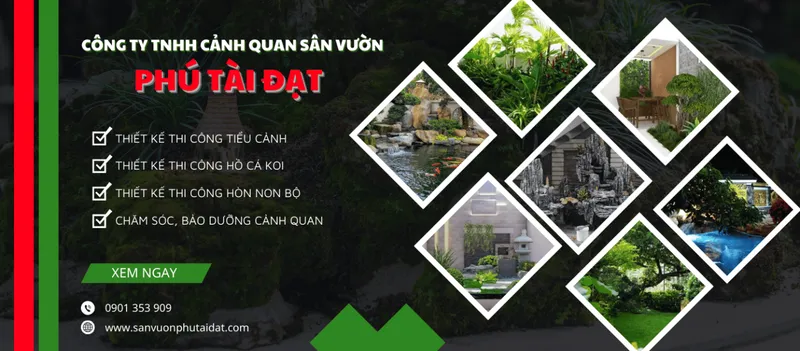 Sản phẩm slide sanvuonphutaidat com 8067 — Tiểu Cảnh Phú Tài Đạt - Công Ty TNHH Cảnh Quan Sân Vườn Phú Tài Đạt — MST 0316200157