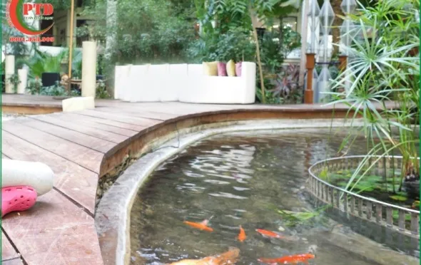 Sản phẩm loi ich khi thi cong be ca ngoai troi 8958 — Tiểu Cảnh Phú Tài Đạt - Công Ty TNHH Cảnh Quan Sân Vườn Phú Tài Đạt — MST 0316200157