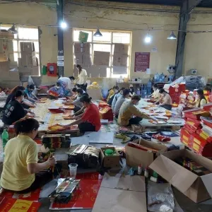 Sản phẩm gia cong tui giay nhan luc thanh nien 676 — Công Ty TNHH Dịch Vụ Nhân Lực Thanh Niên — MST 0316208607