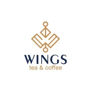 Sản phẩm wings 300x300 — Công Ty TNHH Kiến Trúc Nội Thất An Thịnh Phát — MST 0316224775